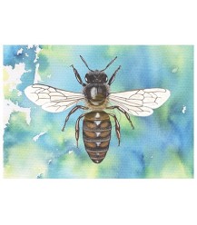 Postkarte Draufsicht Honigbiene blau