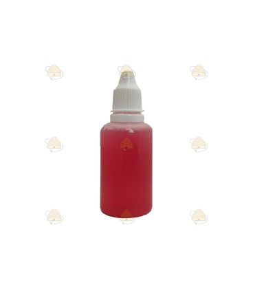 Trappit mini Flasche Lockmittel für Wespen und asiatische Hornissen (± 30 ml)