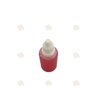 Trappit mini Flasche Lockmittel für Wespen und asiatische Hornissen (± 30 ml)