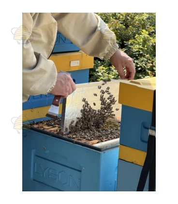 Isolerende broedkamer scheidingswand - Dadant US