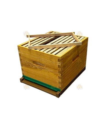 Langstroth US enkelwandige bijenkast (1BK) - geïmpregneerd & Nicot bodem