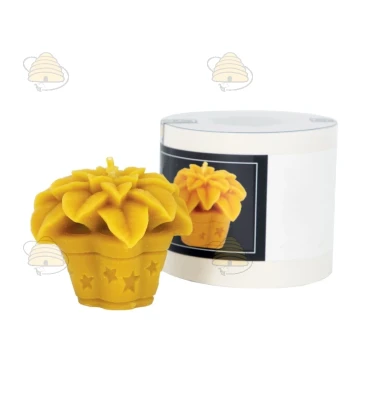 Weihnachtsstern - Gießform