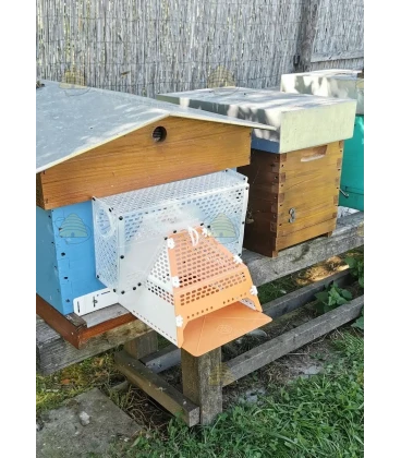 Aziatische hoornaar bijenkast beschermkooi inclusief val