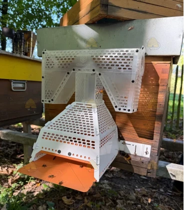 Aziatische hoornaar bijenkast beschermkooi inclusief val