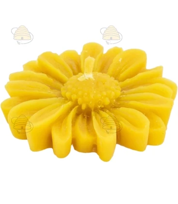 Madeliefje, gietvorm