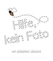 Trappit lokmiddel voor Wespen en Aziatische hoornaars (0,5L)