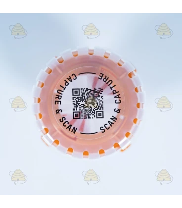 Selektive Asiatische Hornissenfalle mit Diffusionstechnologie