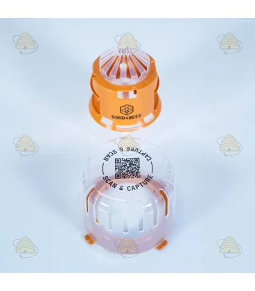 Selektive Asiatische Hornissenfalle mit Diffusionstechnologie