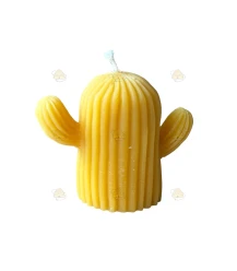 Gietvorm, cactus