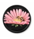 Biene auf rosa Margerite 63 mm TO Deckel - 1400 Stück pro Karton