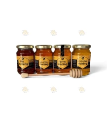 Blüte & Berg Honig-Probierset – 4 verschiedene Honigsorten