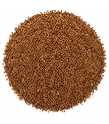 Gemahlene Nussschalen für Seife und Kosmetik - 10 Gramm