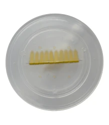 Bienenflucht mit Klappen 9,9 cm